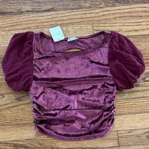 Free People Velvet Puff Sleeve Top in Plum